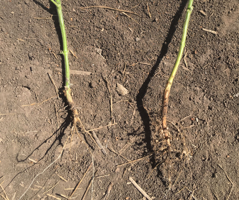 ZI~70_3XX@~RLK31Q~@WN7W