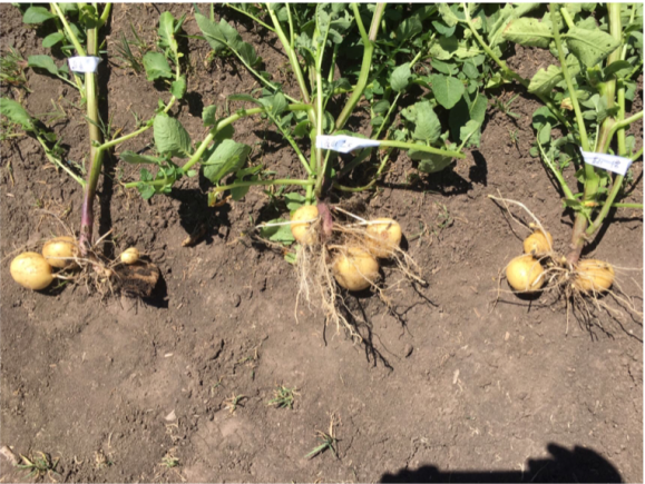 PKSZH7ZYQK`SW7$`1MS(%7R