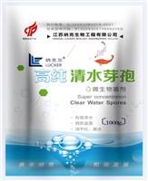 高(gāo)純清水(shuǐ)芽孢